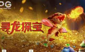 ayx手机版登录入口最新版