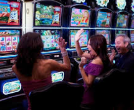 ayx手机版登录入口2024最新版